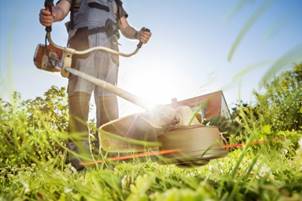 Immobilienservice: Eine Person trimmt den Rasen.
